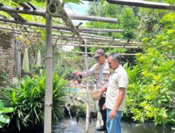 Dukung Program Ketahanan Pangan, Kasat Binmas Polres Bima Kota Sambangi Usaha Budidaya Ikan di Kelurahan Nungga