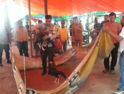 Arena Judi Sabung Ayam di Grebek Polsek Woha Amankan Dua Ekor Ayam Aduan Para Pelaku Lari Kocar-kacir