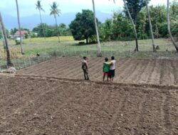 Dukung Ketahanan Pangan, Bhabinkamtibmas Polsek Soromandi, Cek Lahan Ketahanan Pangan Milik Warga Binaan