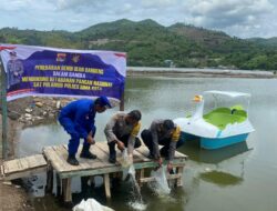 Dukung Penuh Ketahanan Pangan, Sat PolAirud Polres Bima Kota Lepas 10 Ribu Ekor Benih Bibit Ikan Bandeng