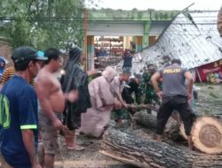 Gerak Cepat Polsek Bolo Evakuasi Pohon Tumbang di Jalan Linta Bima- Dompu