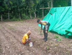 Dukung Program Ketahanan Pangan Nasional, Bhabinkamtibmas Polsek Madapangga Aktif Dampingi Petani di Desa Binaan