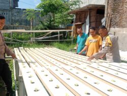 Bhabinkamtibmas Polsek Rasanae Barat Tinjau Perkembangan Tanaman Hidroponik di Kelurahan Monggonao