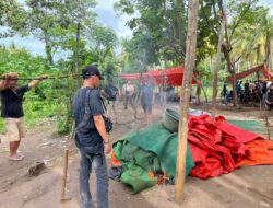 Gerebek Judi Sabung Ayam, Polsek Sape Sita 4 Ekor Ayam Jago dan Bakar Gelanggang Aduan