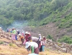 Dukung Program Asta Cita Presiden RI, Bhabinkabtibmas Polres Bima Kota Tanam Jagung dan Ubi untuk Ketahanan Pangan