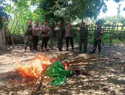 Grebek Judi Sabung Ayam, Polsek Madapangga dan Pos Ramil Madapangga, Sita 3 Unit SPM dan Arena Dibakar