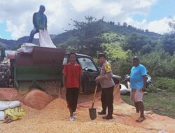 Bhabinkamtibmas Polsek Monta Bantu Penggilingan Jagung Milik Warga Binaan dalam Program Ketahanan Pangan Nasional